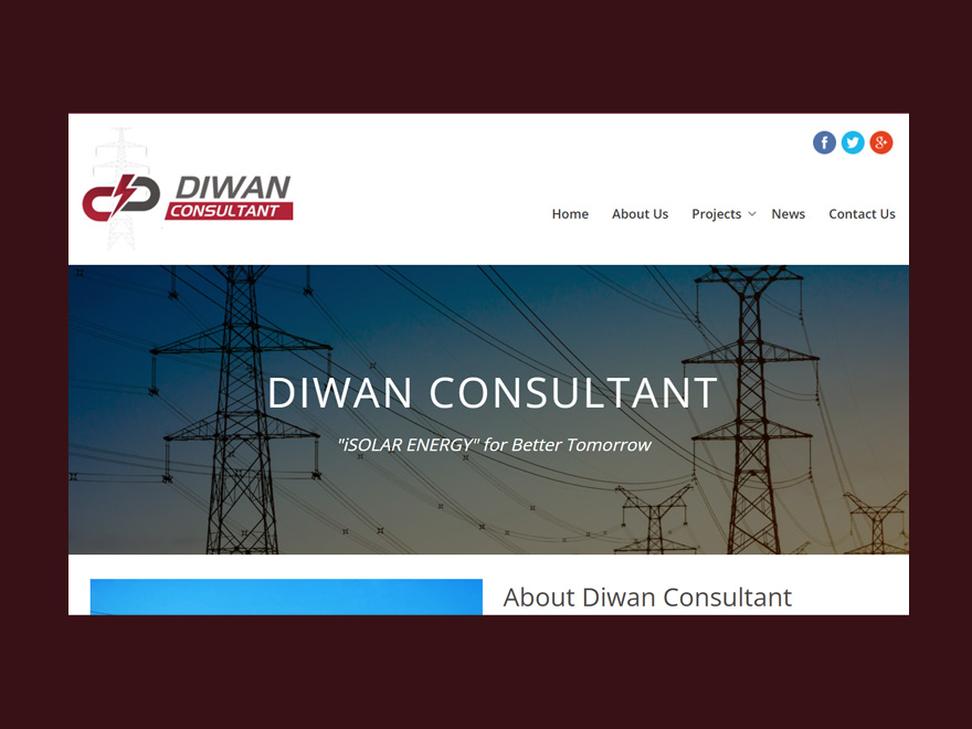 Diwan Consultant portfolio by Intellect Systems